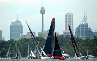 世界帆船赛开航 中国队首赴悉尼参赛