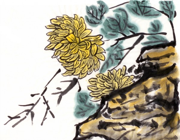 中国画菊花石（fotolia）
