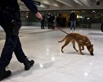英国嗅钱犬截获千万英镑 女王也敢查