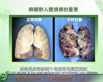 肺對人體，就像一個國家的宰相那麼重要。我們人體與自然界的氣體交換，氧氣的吸入並在體內的循環，從而滋養整個身體都依靠肺。如果肺有疾病，將嚴重影響到人體其它器官的運轉。（新唐人電視台視頻截圖）