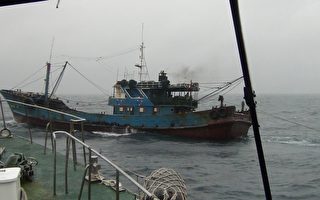不惧凶猛海象 台中海巡队驱离陆渔船