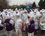 桃园1蛋鸭场感染新型H5亚型高病原性禽流感