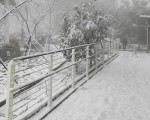 霸王寒流 桃园市中心至北横沿线下雪 50年未见