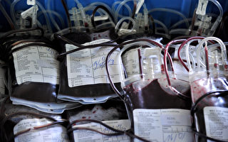 阻絕茲卡感染源 美紅十字會改變捐血策略