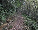 新北市乌来．啦卡登山步道．内洞林道．云仙乐园