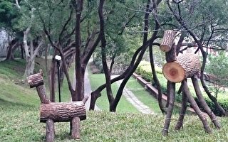 树木残枝变身装置艺术 竹科园区添创意