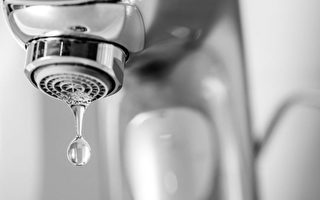 悉尼水質監控專家被裁 飲用水安全令人憂