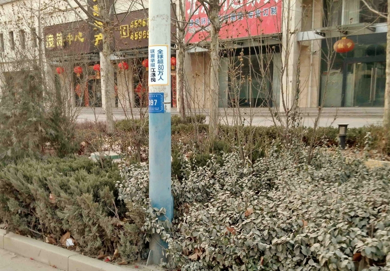 (明慧网)