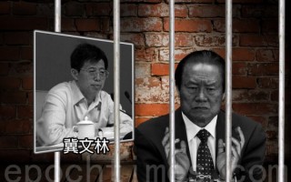 周永康大秘海南前副省長冀文林被判12年