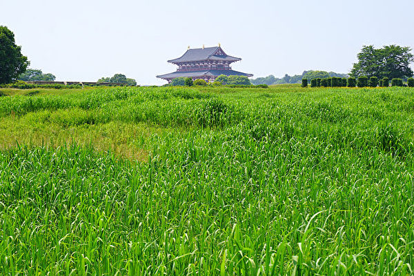 日本營建奈良時代的都城——平城京。平城京舊址(公有領域)