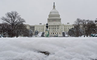 寒冬依然在 华盛顿近年三月常飞雪