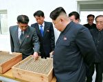 朝鮮高官：國際制裁大大衝擊金正恩政權