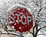 美国东北部首场春雪 并未如预期般糟糕