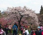 台把握出游好天气 4月初锋面报到