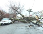 倒下的大樹不只砸到車輛，還扯斷了數根電纜。（唐誠／大紀元）