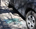 紐約布碌崙砸車搶劫案頻發 華人電召車成目標