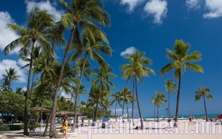 禁止非必要旅行 亚省近3,000名游客去夏威夷