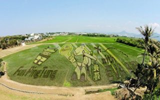 台湾各地稻田彩绘 吸引上百万观光人潮