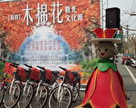 赏树代替赏花 另类的木棉花节