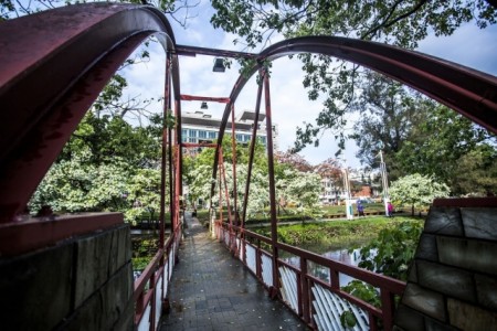 春暖花开正是踏青好时节。(新竹市府提供)