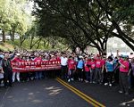 苗栗市桐花祭 樂活貓裏熱鬧開展