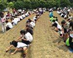 好事會花生 師生下田體驗食農教育