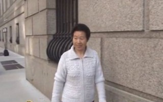 紐約政治庇護欺詐案  劉楓凌被取消律師資格