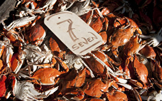 马里兰州蓝蟹数量预计增长三成