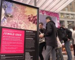 時代廣場新裝置 在紐約感受亞馬遜叢林