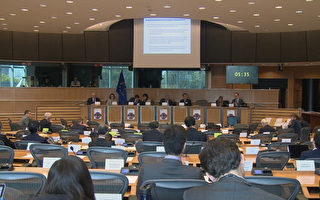 欧议会听证：朝鲜人权迫害和核武问题