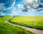 Road lane and deep blue sky. Nature design.