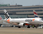 一隻小烏龜從捷星（Jetstar）航空公司一架飛機的行李艙中掉了下來。   (AFP/GettyImages)