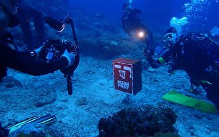 世界最深绿岛豆丁海马海底邮筒启用 潜水 大纪元