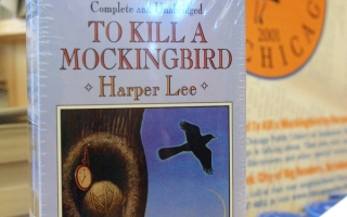殺死一隻知更鳥——中學生最愛的小說之一