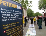 二零一六年五月二十一日，英国法轮功学员在位于伦敦市中心的圣马丁广场（St. Martin Place）开展讲真相活动。（明慧网）