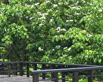 张揆视察客家文化园区 期打造国际观光亮点