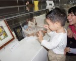 国立自然科学博物馆植物园与Shelley押花教室举办押花特展，今年以“蕨类”为特展主轴，参观的小朋友非常惊喜。（国立自然科学博物馆提供）