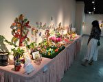 特教生創作展 畫出生命故事