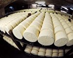 被数万吨奶酪活埋8小时 英国司机奇迹生还
