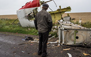 馬航MH17遇難者家屬告普京 索賠3.3億美元
