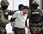 墨西哥毒販華金·古茲曼·洛埃拉，由海軍陸戰隊押護下於2014年2月22日在墨西哥城露面。（RONALDO SCHEMIDT/ AFP / Getty Images）