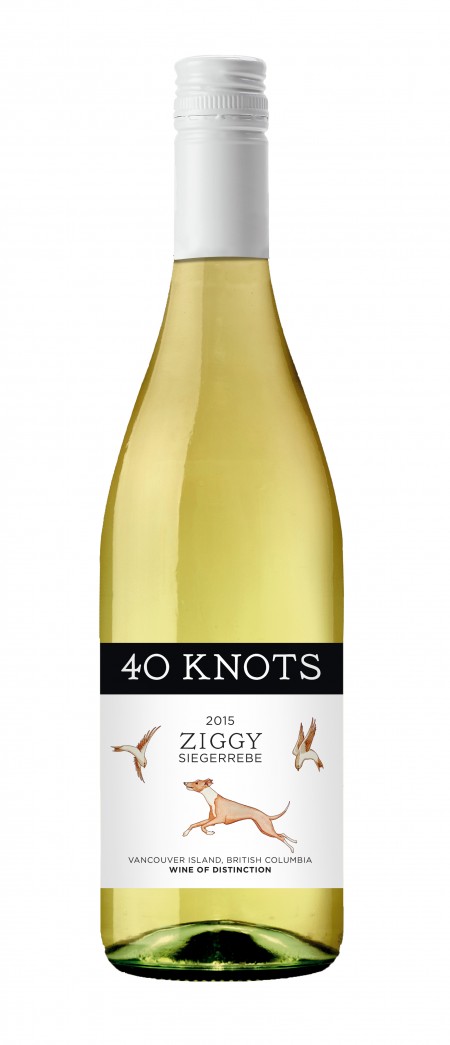 Ziggy 2015.jpg
