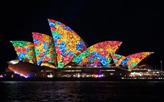 全球最大灯光节开幕 璀璨点亮悉尼夜空
