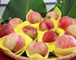 踏趣山城 大湖桃李觀光季登場