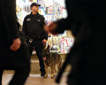 需求不断增长  MTA开启新警犬训练场