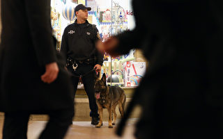 需求不斷增長  MTA開啟新警犬訓練場