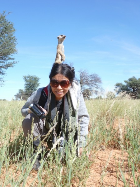 溫芳玲深入南非喀拉哈里沙漠，用鏡頭記錄狐獴家族。（溫芳玲提供） 