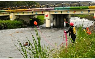 溪流救灾训练 “溪流水域救助”