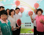 台中荔枝外銷美國星馬 百噸封櫃啟運