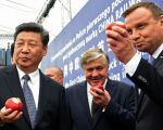 習近平與波蘭總統杜達（右）一起吃下波蘭種植的蘋果。 (Janek Skarzynski/AFP AFP PHOTO / JANEK SKARZYNSKI)